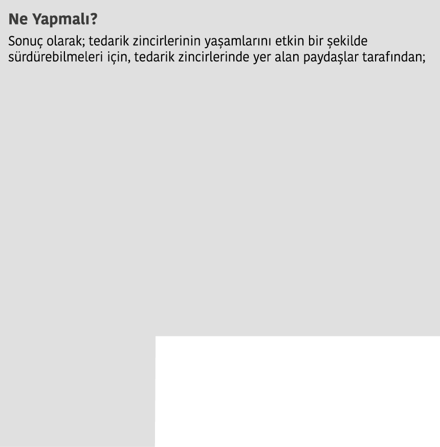 Ne Yapmal   Sonu  olarak  tedarik zincirlerinin ya amlar n  etkin bir  ekilde s rd rebilmeleri i in  tedarik zincirle   