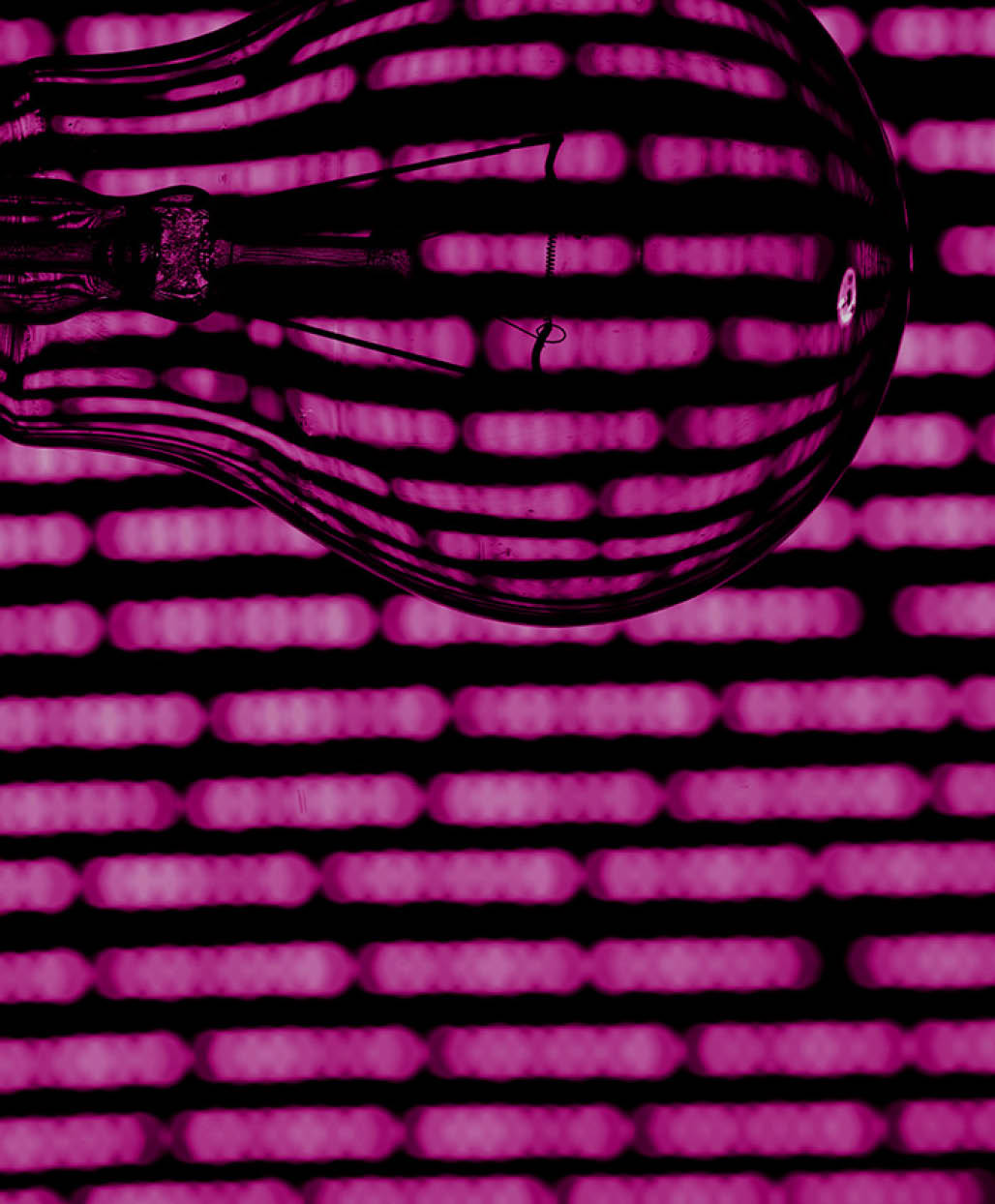 bulb on abstract background macro close