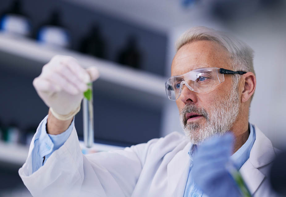 Scientist, senior man and plant with test tube and sustainability research for agriculture in a lab.