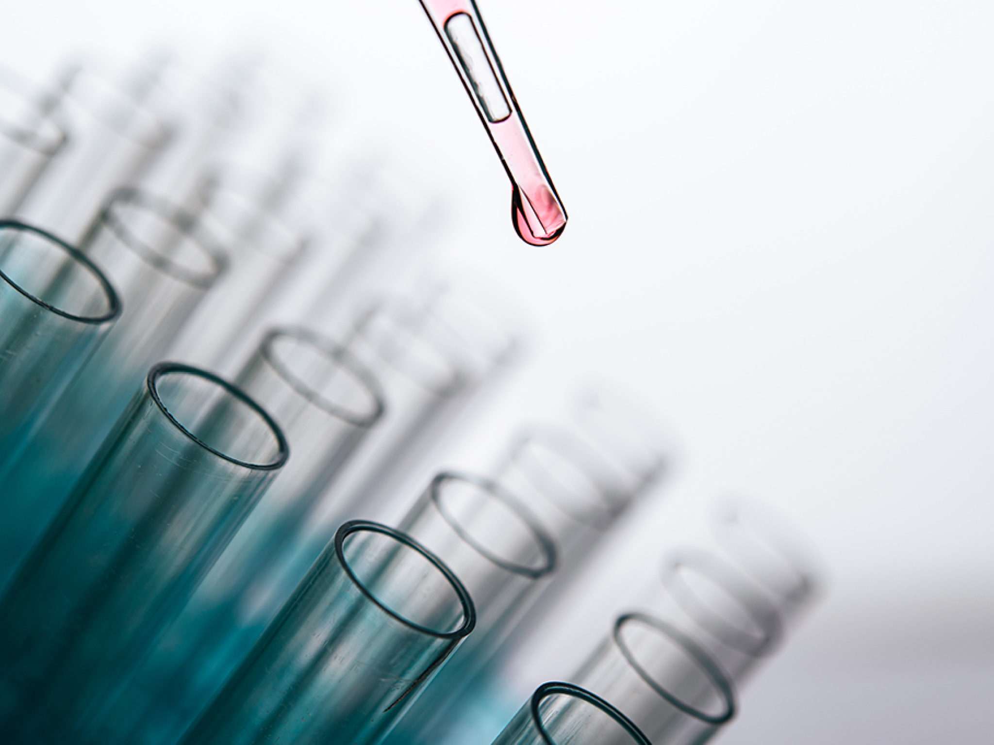 Drop the pink chemicals into the beaker.